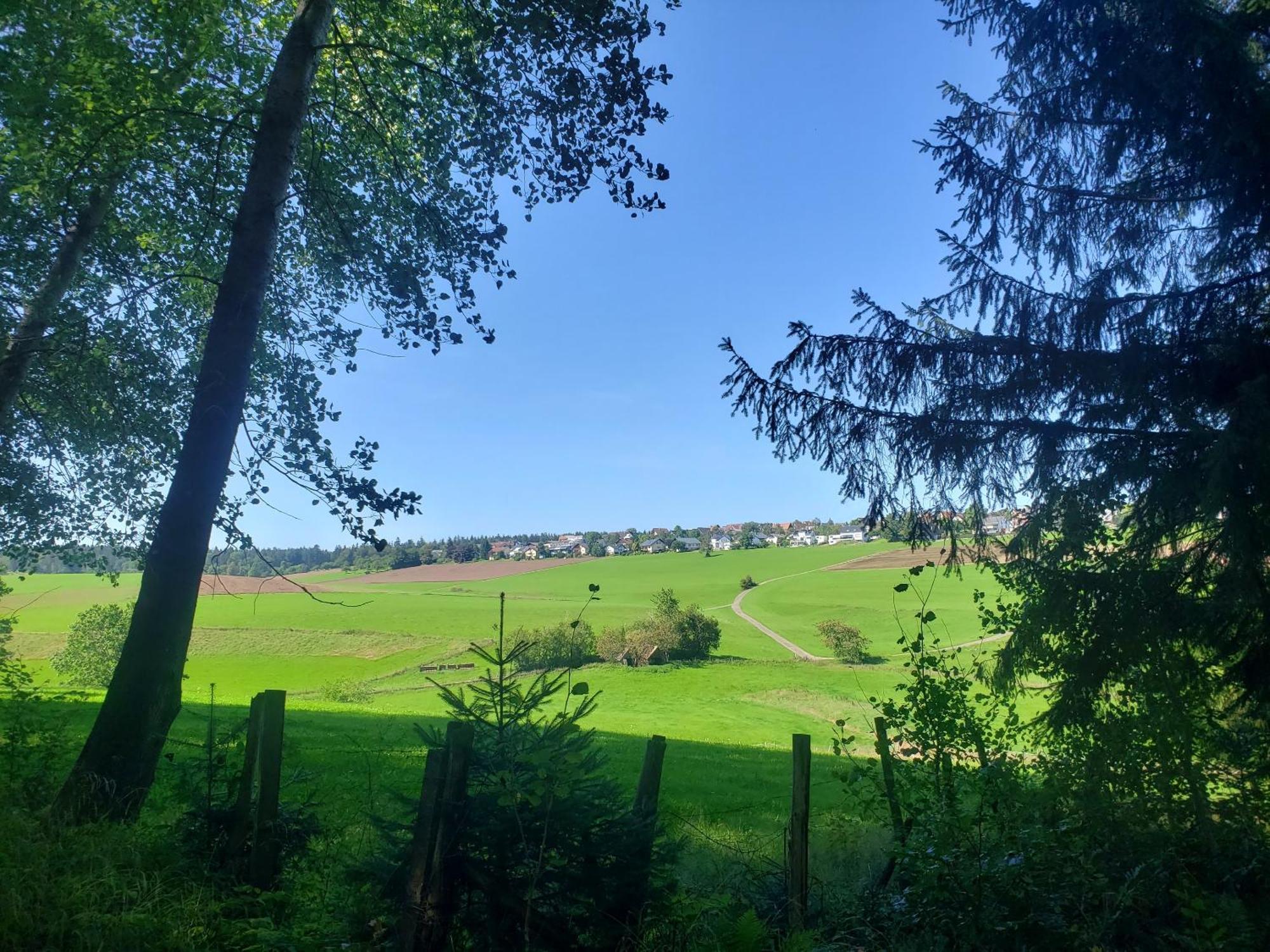 Alter Hirsch Hotel Pfalzgrafenweiler ภายนอก รูปภาพ